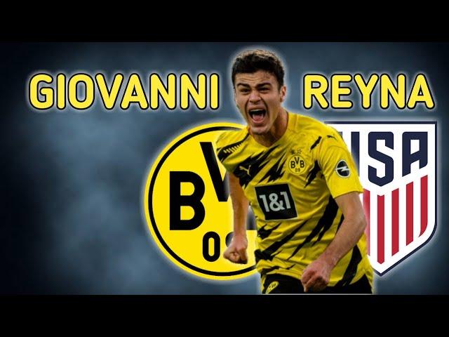 The Brilliance of Giovanni Reyna ● Skills & Goals HD