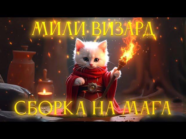 СБОРКА НА МАГА | МИЛИ МАГ | DARK AND DARKER | ЛУЧШАЯ СБОРКА? | БОНЬК ВИЗАРД | МИЛИ ВИЗАРД