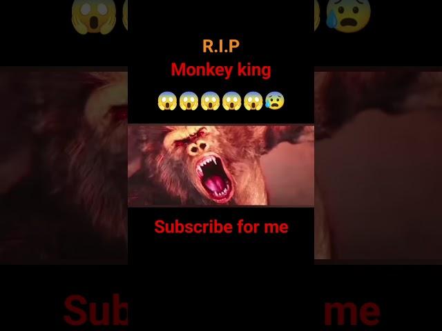 R.I.P monkey