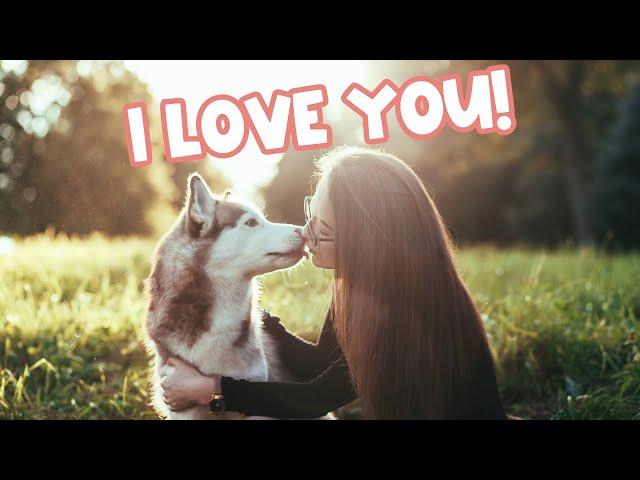 How Do Huskies Show Affection? (6 Heart-Warming Ways)