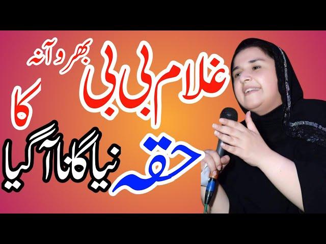 Intakhabi Neshan Hukka Songs Gulam bibi bharwna Song 2024 غلام بی بی بھروانہ