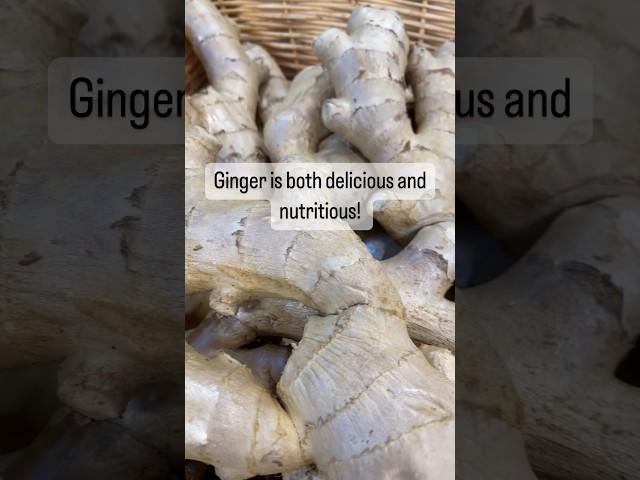 The multiple health benefits of ginger.