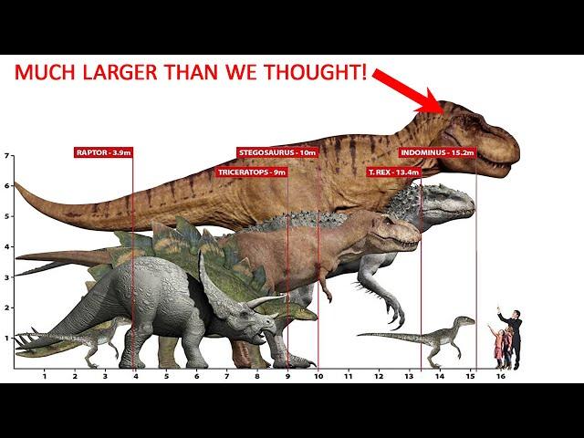 MEGA-SIZED T-REX (70% Larger than we previously thought!)