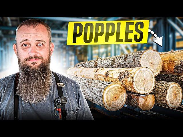 Ever See Popple On A Sawmill?