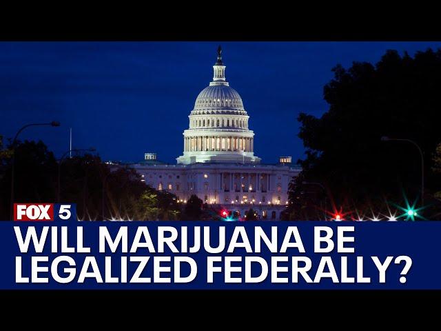 Will marijuana be legalized on the federal level? | FOX 5's In The Courts