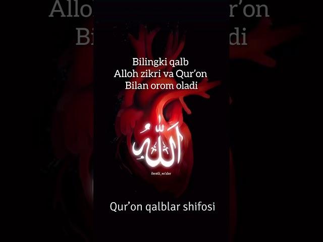 Qurʼon va qalb #instagram #topvideo #shorts #AQSh #words #uzbekistan #assalomuz #america #video #sad