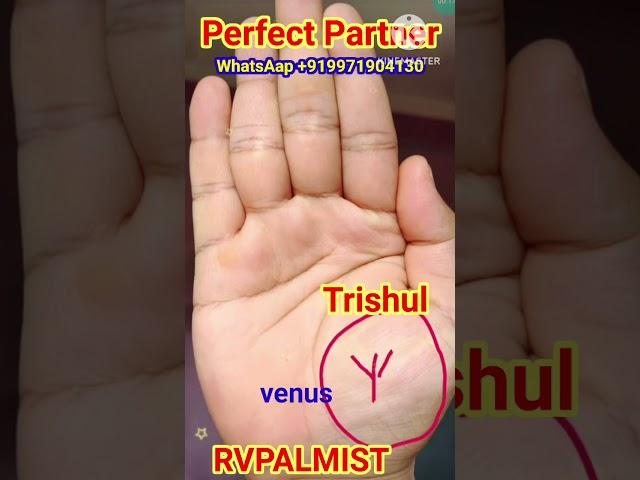 Perfect Partner || #palmistery #fortunetelling  #education #indianpalmistry #palmreading #rvpalmist