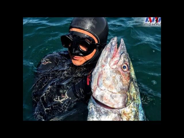 Spearfishing in Egypt by Amr Mohamed Ep1