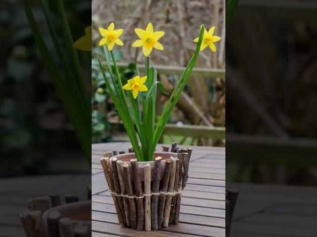 DIY planters / DIY γλάστρες #diy #διακόσμηση #σπίτι #decoration #diyideas #garden #κατασκευέσ