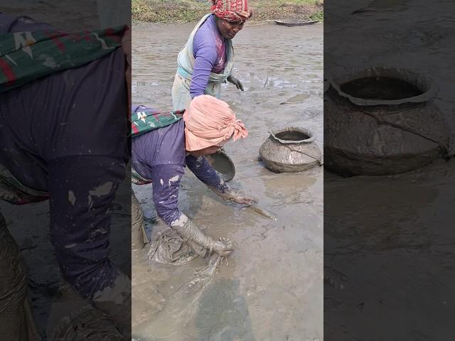 Wow!  Amazing woman catching big boalfish - sheatfish #fishing #boalfish #sheatfish #fish #shorts