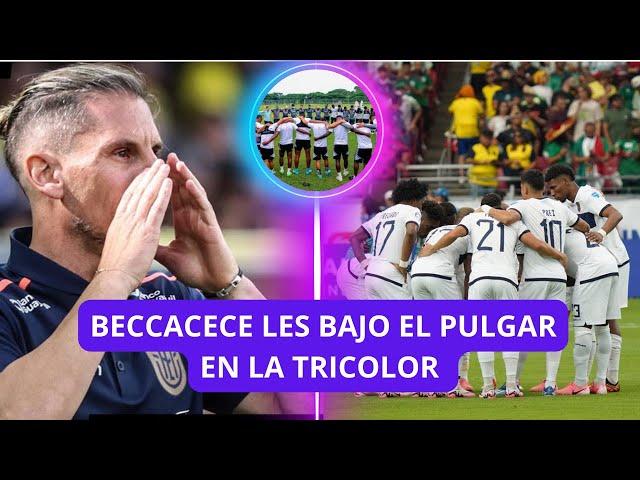 NEGADOS!! BECCACECE NO TOMO EN CUENTA A  TREMENDOS JUGADORES EN LA SELECCION ECUATORIANA |  EMELEC