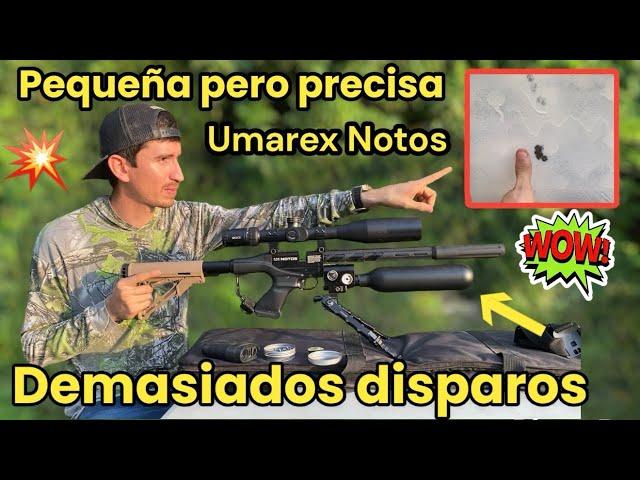 UNA PEQUEÑA BESTIA ‼️Umarex Notos 5.5 con aire infinito  Conócela