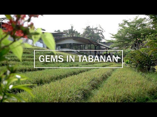 Hidden Gems of Tabanan Tour, Bali