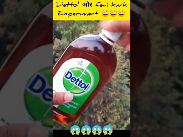 || Fevi kwik + Dettol का experiment ।। #shorts #facts