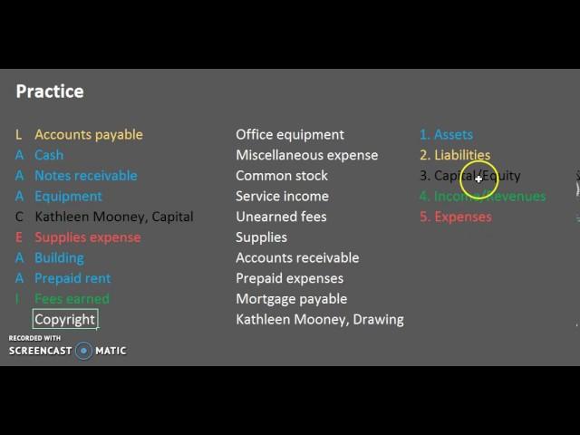 Elements/Account Types & Account Classification Practice