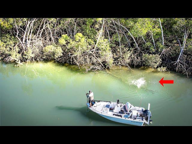 Coastal Creeks EXPLODING with Fish !!