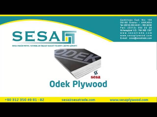 Rus Plywood - Sesa Plywood +90 312 350 49 81 www.sesaplywood.com