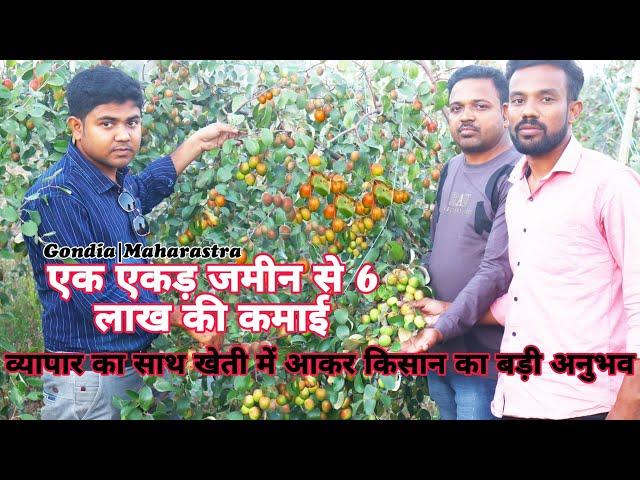 Earned Rs.6-Lakh from 1acer of Land || Big Success in Kashmiri Apple Ber Farming | 3Tips for Success