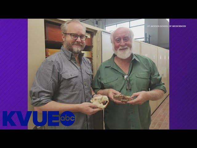 Scientist name beaver species after Buc-ee's | KVUE