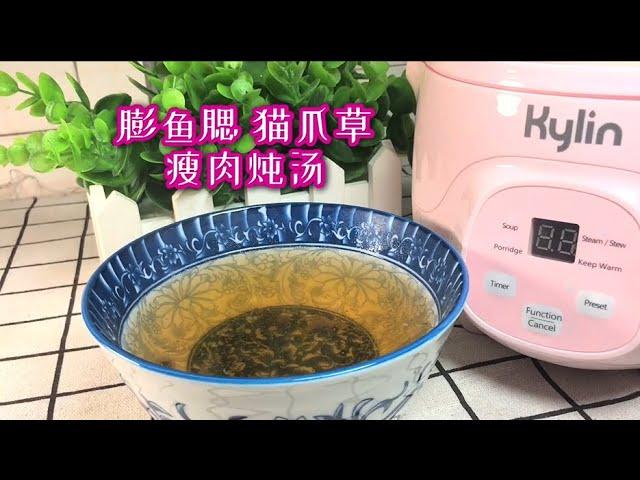 【Hello Kitchen】Kylin Electric Multi-Stew Cooker Stainless Steel/ Ceramic Steamer Pot 2.2L电炖盅膨鱼腮猫爪草肉汤