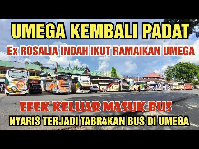 ex ROSALIA INDAH IKUT RAMAIKAN UMEGA SORE INI FULL BUS SUMBAR MENUJU RANTAU