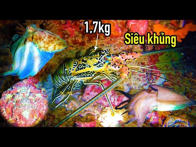 ĐÊM LẶN ĐẦU TIÊN | CHUYẾN THỨ 7 TẠI TRƯỜNG SA | PHÁT HIỆN SIÊU HẢI SẢN TÔM  HÙM CÁ MẶT QUỶ CỰC ĐÃ