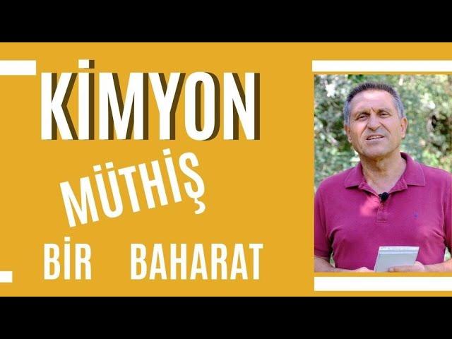 KİMYON ÇAYI NASIL YAPILIR I KİMYONUN FAYDALARI NELERDİR