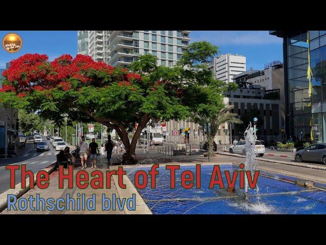 Tel Aviv on the Eve of Shabbat: A Walk Along Rothschild Boulevard