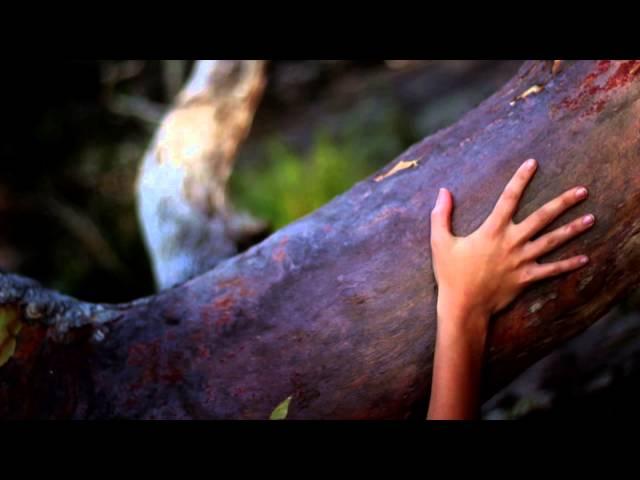 Spring Pictures 'The Natural Image' Byron Bay Video Production