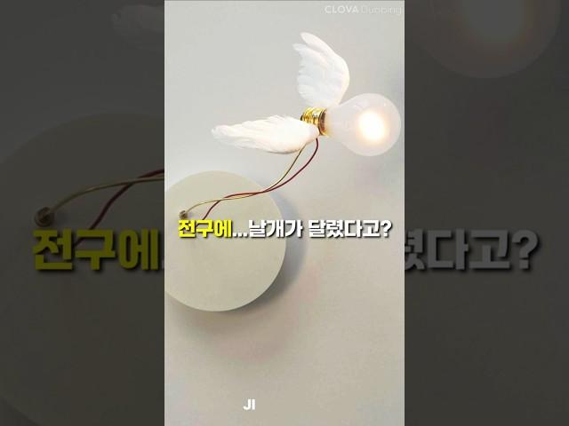 전구에… 날개가 달렸다고? #인테리어소품 #잉고마우러 #포인트조명