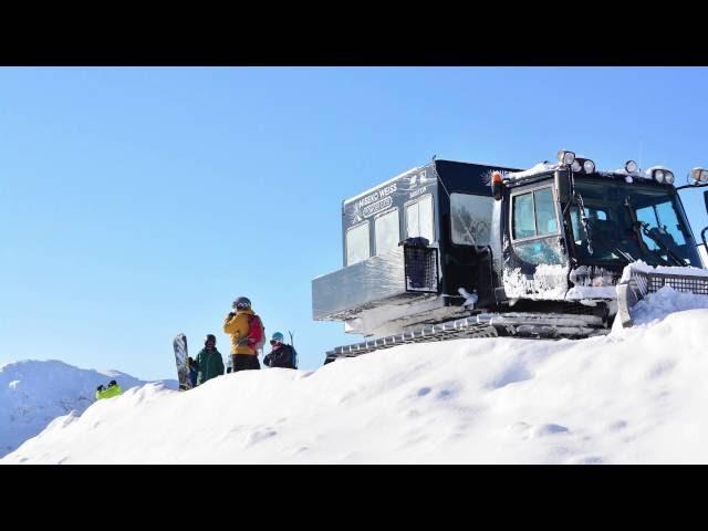 Niseko Weiss Powder CAT skiing