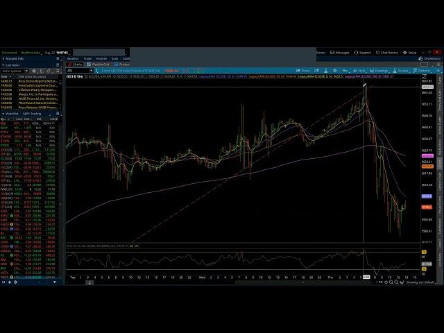 S&P 500 & NASDAQ 100 / Elliott Wave Daily Update 8/22/2024 by Michael Filighera