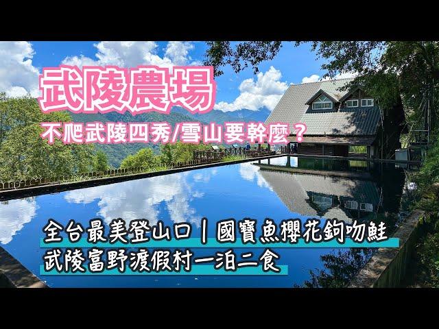 武陵農場｜不爬武陵四秀、雪山要幹麼？七家灣溪賞國寶魚櫻花鉤吻鮭，全台最美登山口吃限定冰淇淋，露營區森林咖啡吧，武陵富野渡假村一泊二食｜雪霸國家公園｜台中和平景點