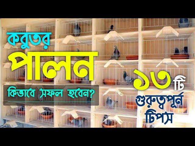 কবুতর পালনের ১৩ টি গুরুত্বপূর্ন টিপস || নতুনরা কিভাবে কবুতর পালন শুরু করবেন?