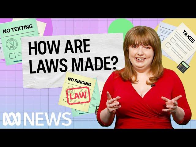 How are laws made? | Politics Explained (Easily) | ABC News