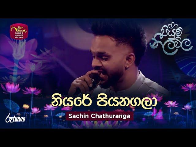 Niyare Piya Nagala | නියරේ පිය නගලා | Sachin Chathuranga | Piyum Neela Vila | Roo Tunes