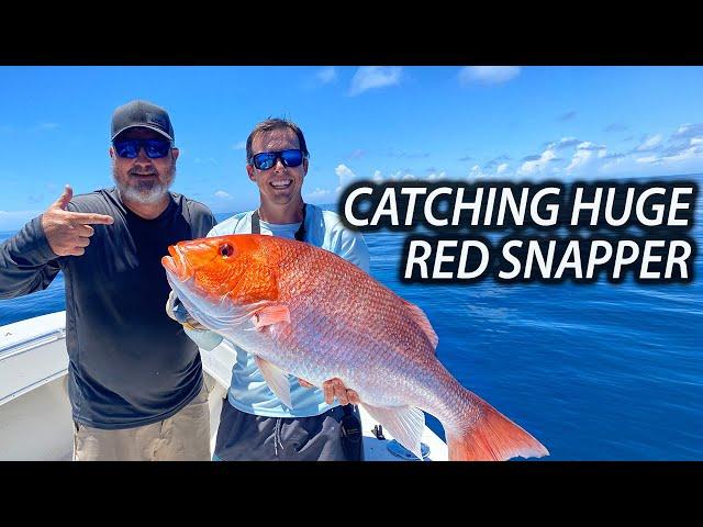 Catching Huge Red Snapper