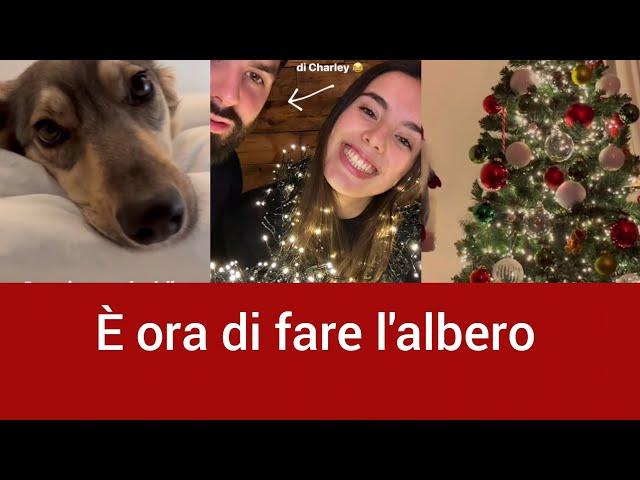 E' ora di fare l'albero di Natale - Angolo di Paradiso Family Instagram Stories 28/11/22