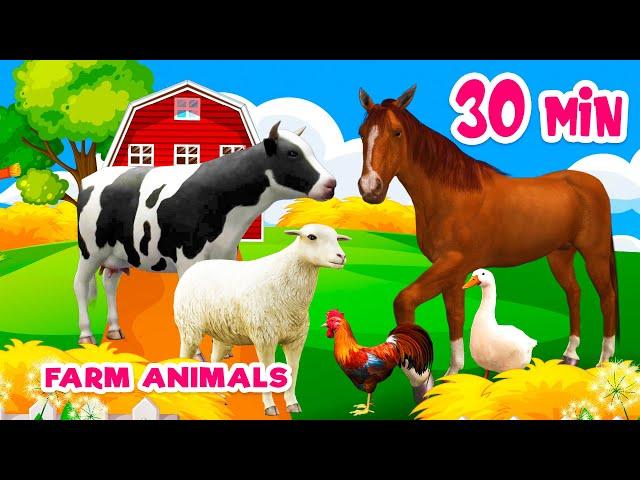 30 min Farm animal sounds Farm animals for kids Learn Farm animals Cow Horse