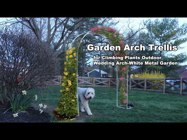 Garden Arch Trellis for Climbing Plants Outdoor-Wedding Arch-White Metal Garden Trellis