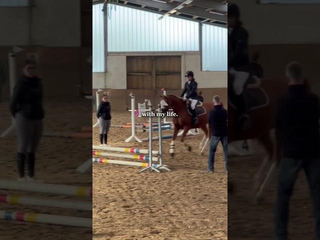 Vertrauen ist alles️🩷🫶#horse #pferdetraining #equestrian #pferde #foryou#horselover