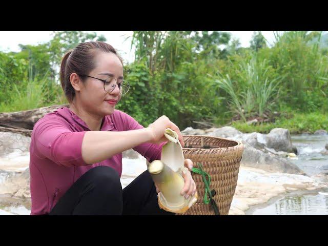 The process of making bamboo shoots is dried in the sun for year-round preservation