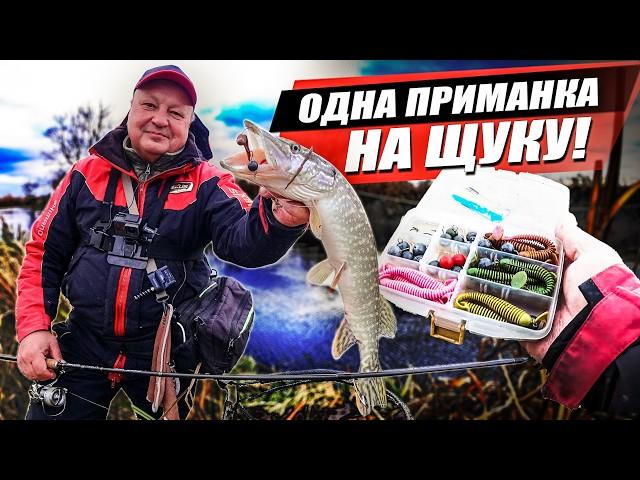 Як легко знайти щуку на річці. Щука на спінінг Crazy Fish Arion 862MLS