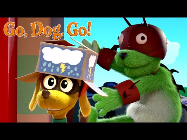 Chaser & Chewer to the Rescue | GO, DOG. GO! | Netflix