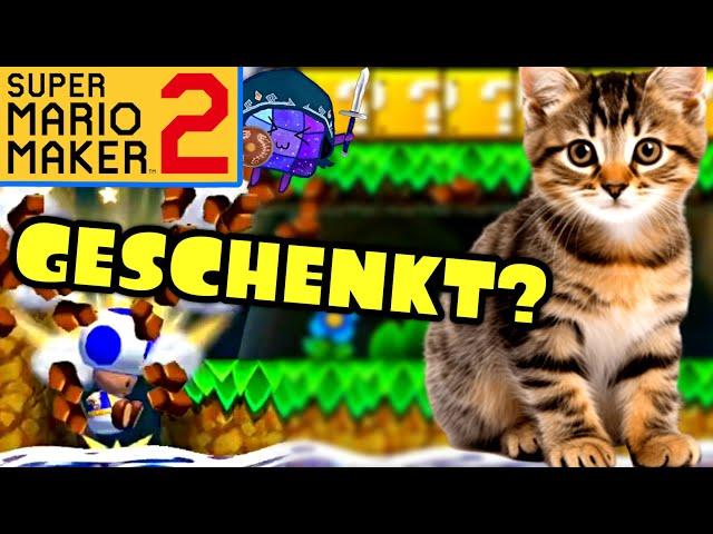 Ein Haustier geschenkt bekommen? Super Mario Maker 2 Expert 12000+ Clears #273