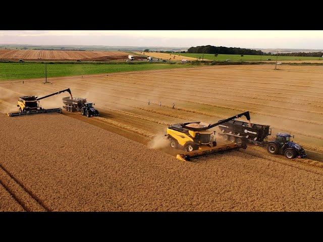 New !!  New Holland CR11-maaidorser  en New Holland CR10 combine in actie