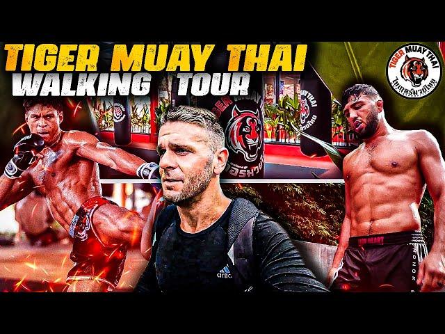 Tiger Muay Thai WALKING TOUR | SE03E92