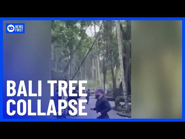 Two Feared Dead After Tree Collapse In Popular Bali Tourist Spot | 10 News First