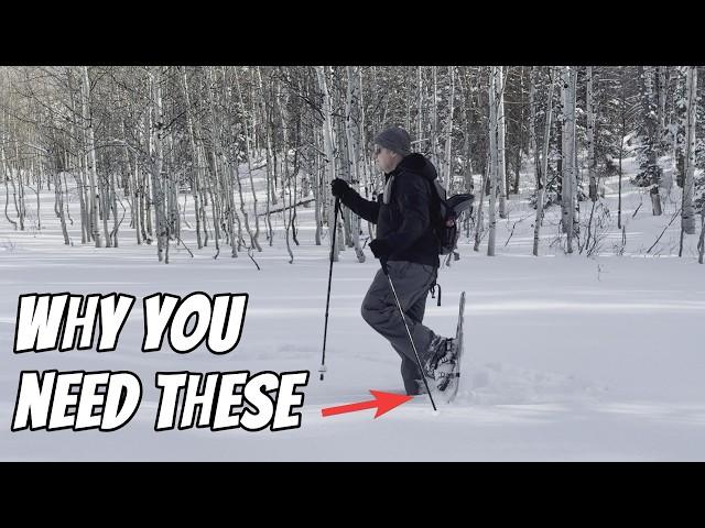 This is why you need snowshoes.