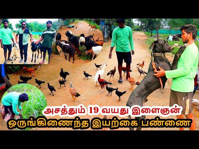 1/2 ஏக்கரில் ஒருங்கிணைந்த இயற்கை விவசாயம் | அசத்தும் 19 வயது இளைஞன்| Integrated Organic Farming